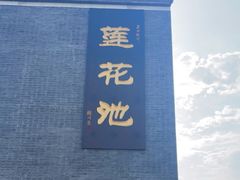 -莲花池公园