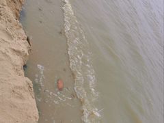 -瑶湖郊野森林公园