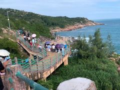 -广东惠东海龟国家级自然保护区