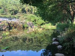 -九龙潭景区