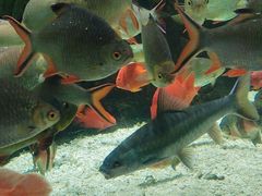 -太平洋海底世界