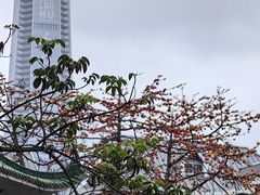 -人民公园(罗湖区)