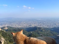 -泰山风景名胜区