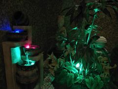 -东方之珠洗浴休闲广场(南开店)