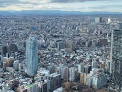 -东京都厅舍