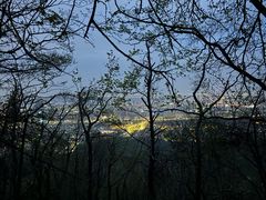 -紫金山山顶公园