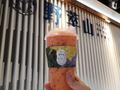 -野萃山·潮汕厚果汁(十亩地店)