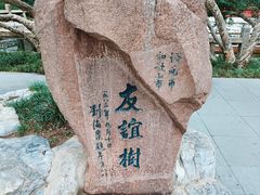 -趵突泉景区