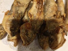 -老诚一锅羊蝎子(天通苑东三区直营店)