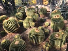 -北京植物园-展览温室