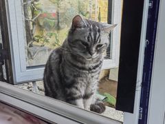 -宠福鑫康馨动物医院·骨科·眼科