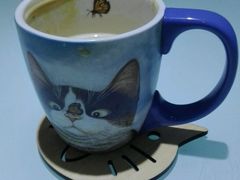 -喵的天空名猫咖啡馆·撸猫·猫舍·用品