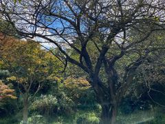 -昆明春城湖畔度假村