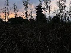 -洋湖国家湿地公园