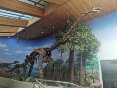 -延庆地质公园博物馆