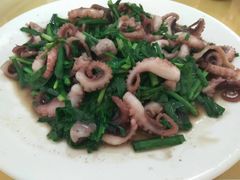 八爪鱼炒韭菜-宁悦海鲜家常菜馆(北戴河老虎石店)