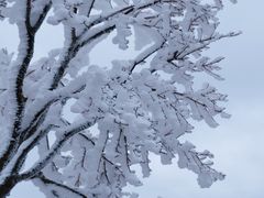 -浙西天池-售票处