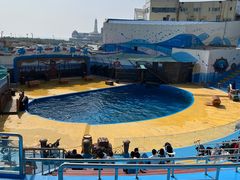 -海合安青岛极地海洋公园