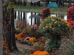 -上海共青森林公园