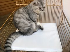 -拾壹cafe·工作室