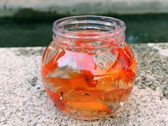-廊坊固安福朋喜来登酒店