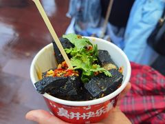 -黑色经典臭豆腐·湖南特产(坡子街店)