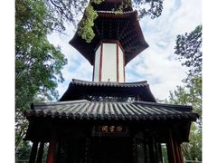 -上海佘山国家森林公园天马山园