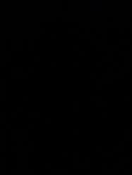 -尚美舞蹈工作室