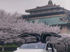-TESLA 特斯拉(上海太古汇体验店)