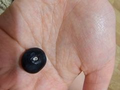 -新隆嘉超市(武昌街店)