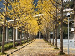 -秦岭风景区