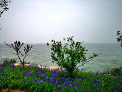 -阳澄湖半岛旅游度假区