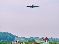 -空港花田景区