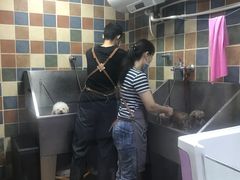 -米卢宠物公园(广华居店)