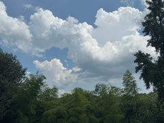 -灵顺寺