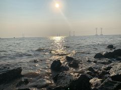 -宝安西湾红树林湿地公园