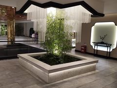 -绿杨春·淮扬宴(庐山路店)