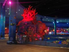 -青岛嘉年华主题乐园