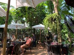 -Fern Forest Cafe