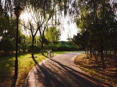 -永定河休闲森林公园