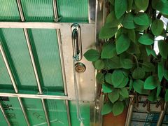 -学长的小象馆(江南西~青凤大街店)