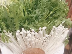 -骨气鼓气羊棒骨·羊蝎子(住总万科广场店)