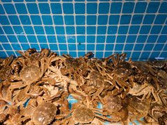 -星伦多自助料理·涮烤一体(虹悦城店)