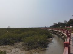 -北海金海湾红树林生态旅游区