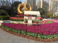 -新湖明珠城