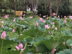 -太阳宫公园