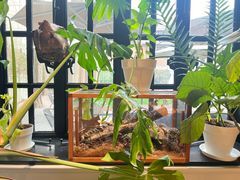 -一尺花园(安和花园店)