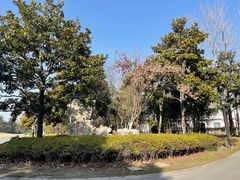 -春兰国宾馆(凤城河风景区老街店)