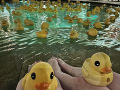 -苏州湾·王焰温泉