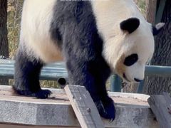 -天津市动物园